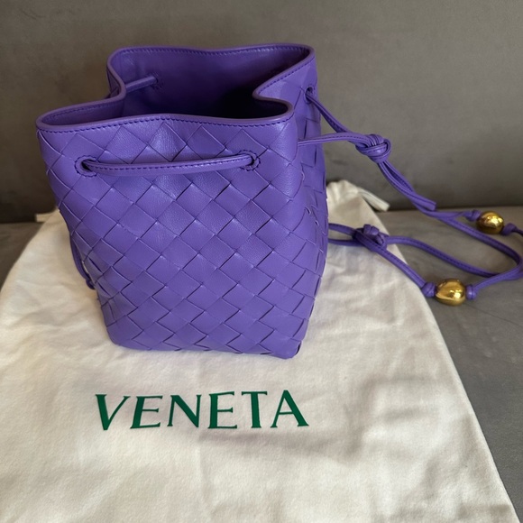 NWT Bottega Veneta Mini Intrecciato Shoulder Bag - Picture 8 of 11
